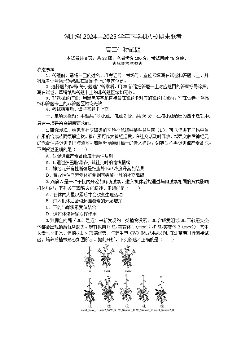 湖北省八校联考2024-2025学年高二下学期6月期末生物试题第1页