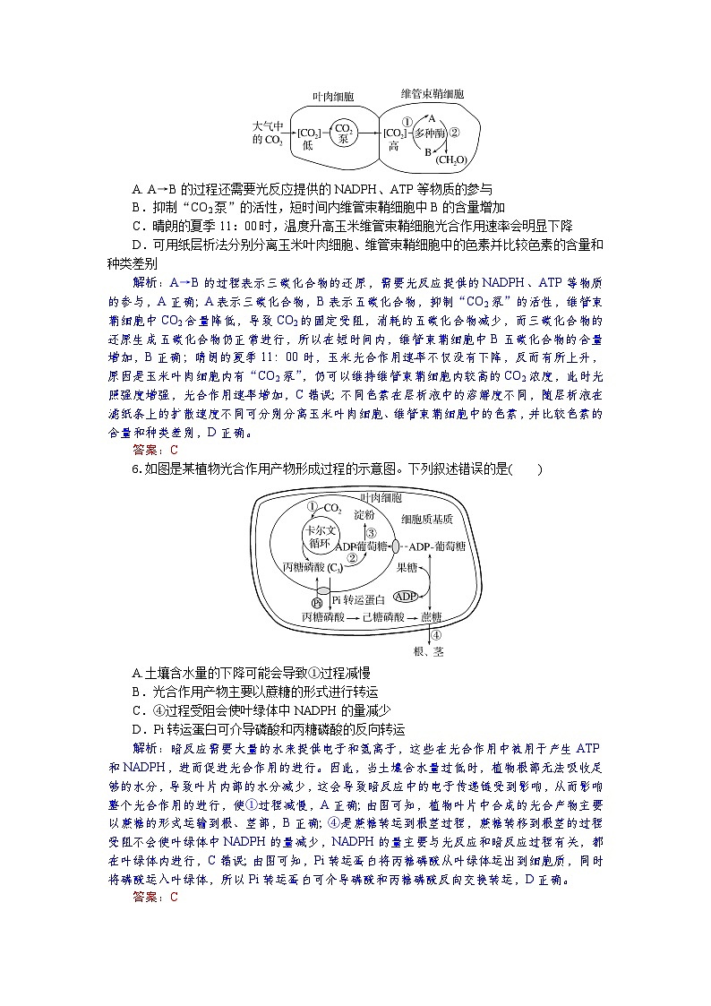 高一生物试题解析板第3页