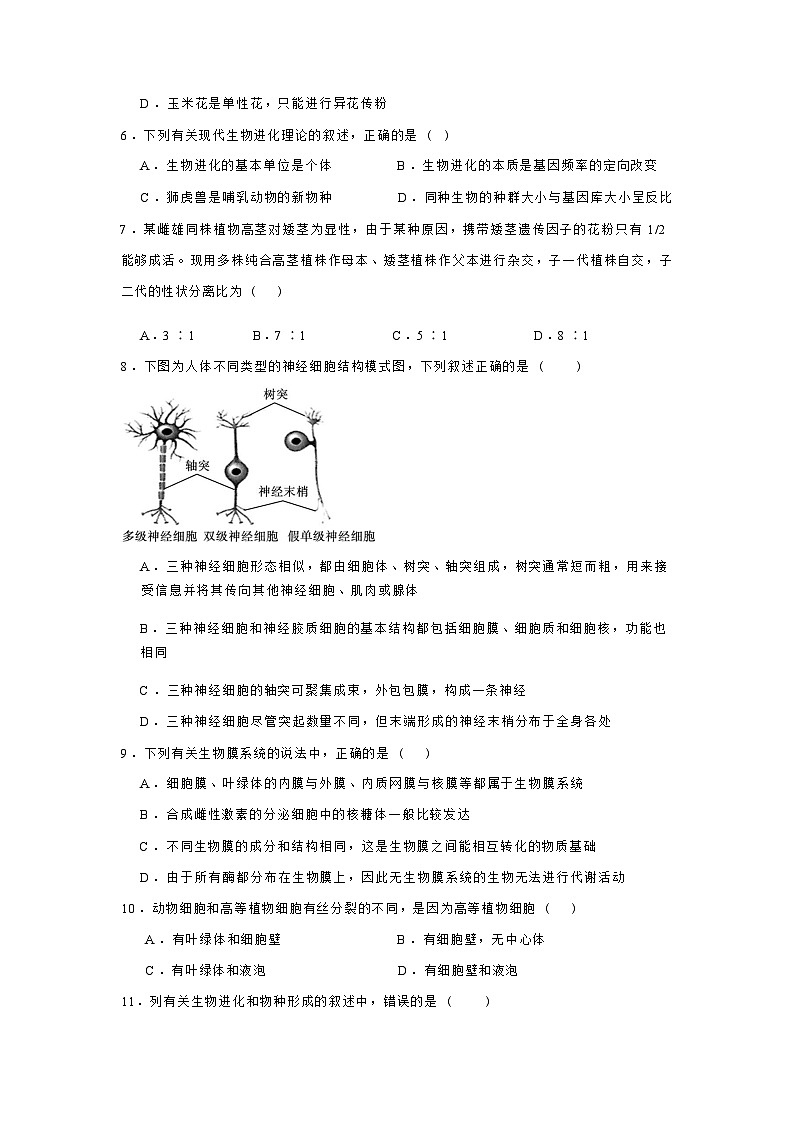 生物试卷 【西北卷】宁夏回族自治区石嘴山市第一中学2024-2025学年第二学期高一6月月考（6.12-6.13）第2页