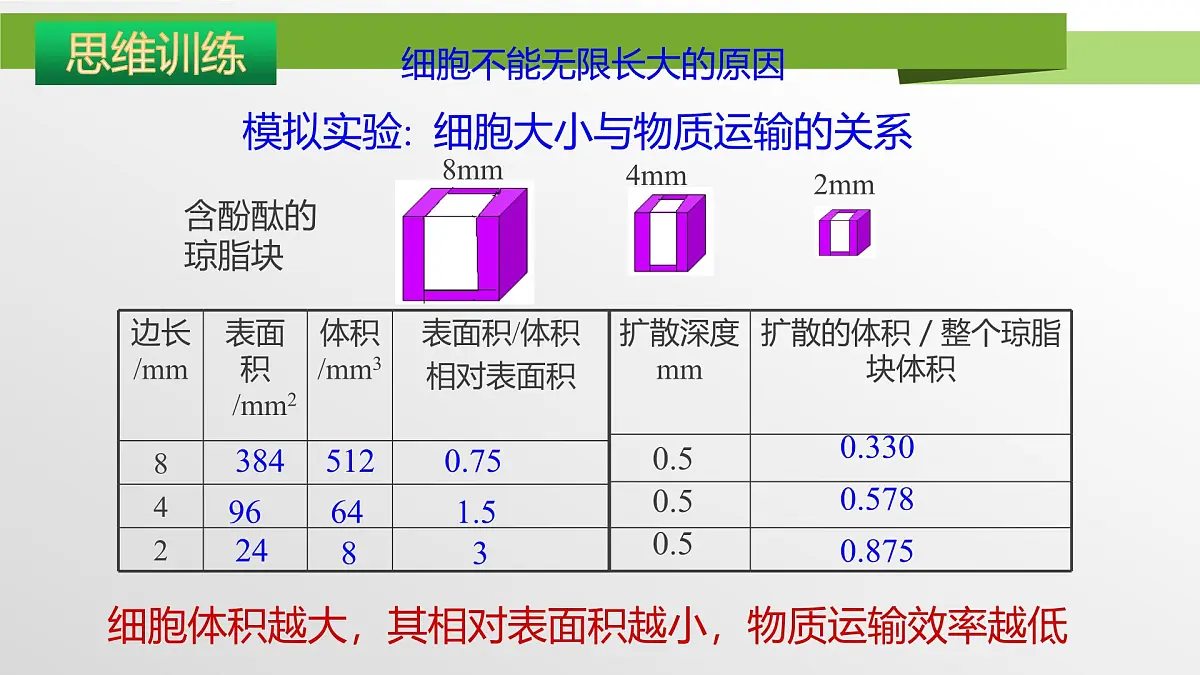 人教版高中生物必修1 6-1《第1课时 细胞的增殖》教学课件第4页