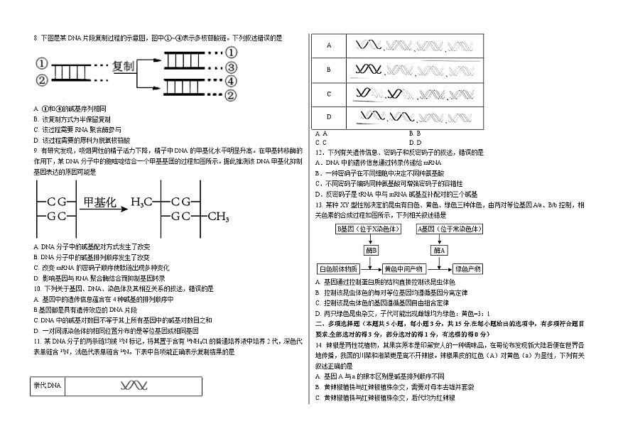 期中考试高一生物试题第2页