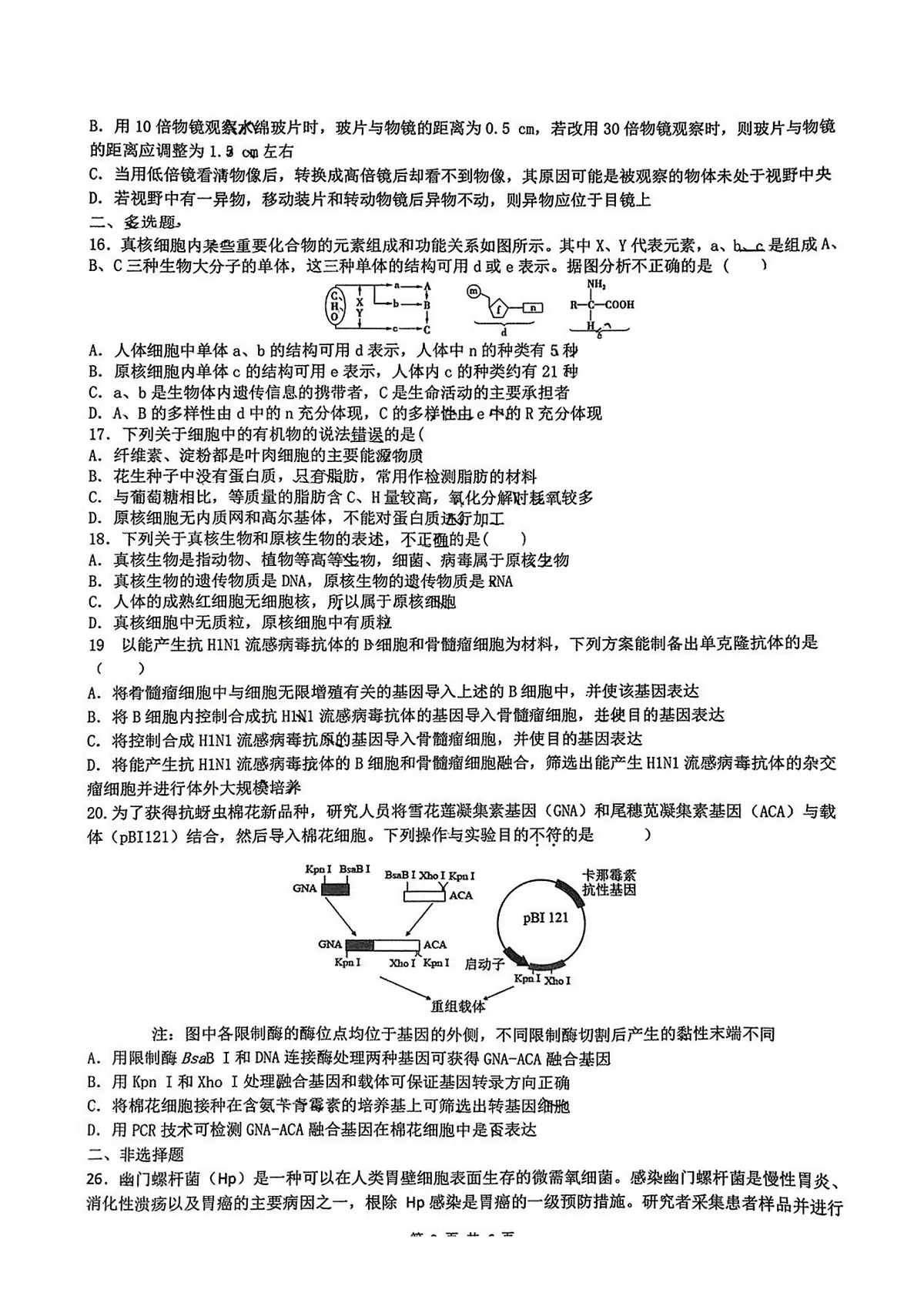 2025年黑龙江省实验中学高二下学期6月月考生物试卷及答案第3页