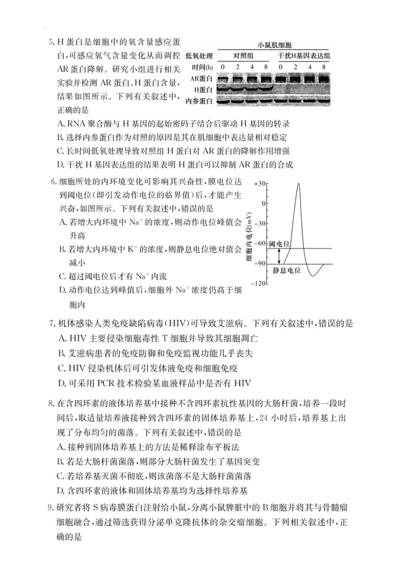 湖南省佩佩教育2025届2月高三开学联考生物试题（含答案）第2页