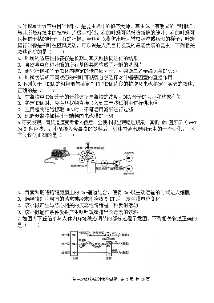 陕西省西安中学2025届高三下学期第一次模拟考试试题-生物试题（无答案）第2页