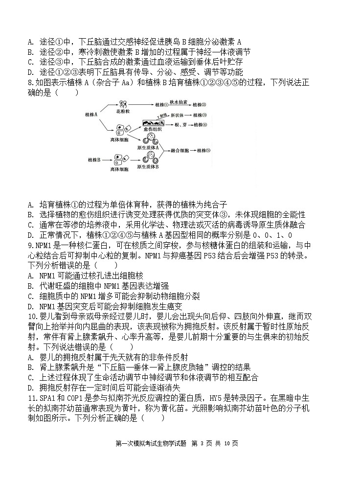陕西省西安中学2025届高三下学期第一次模拟考试试题-生物试题（无答案）第3页