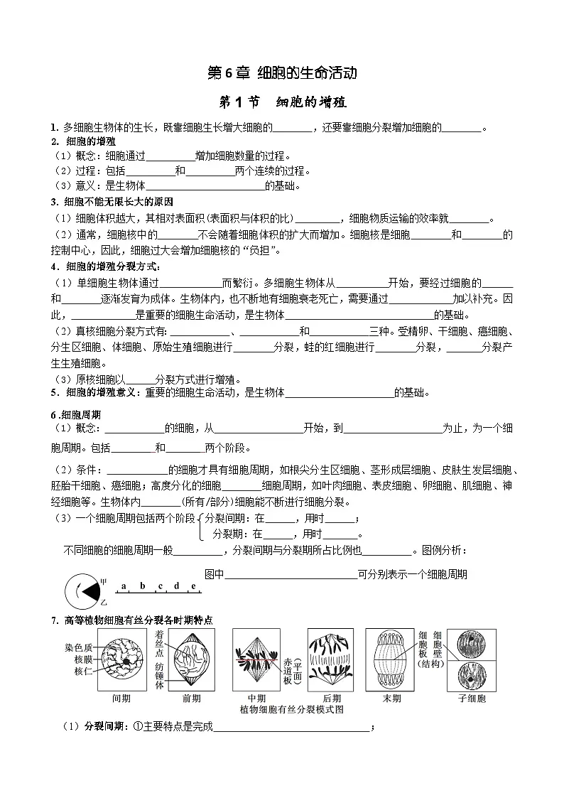 人教版高中生物必修1第6章 细胞的生命历程-必背知识清单第1页