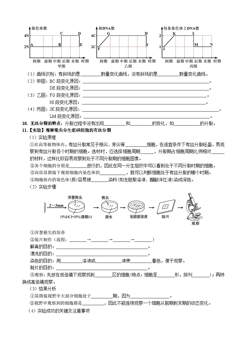 人教版高中生物必修1第6章 细胞的生命历程-必背知识清单第3页