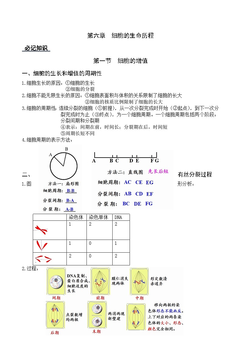 人教版高中生物必修1第6章 细胞的生命历程-章节知识和试题必记必刷培优练无答案第1页