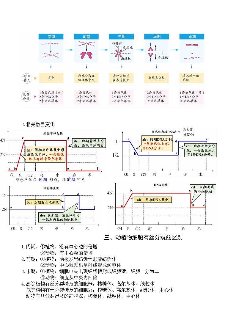 人教版高中生物必修1第6章 细胞的生命历程-章节知识和试题必记必刷培优练无答案第2页