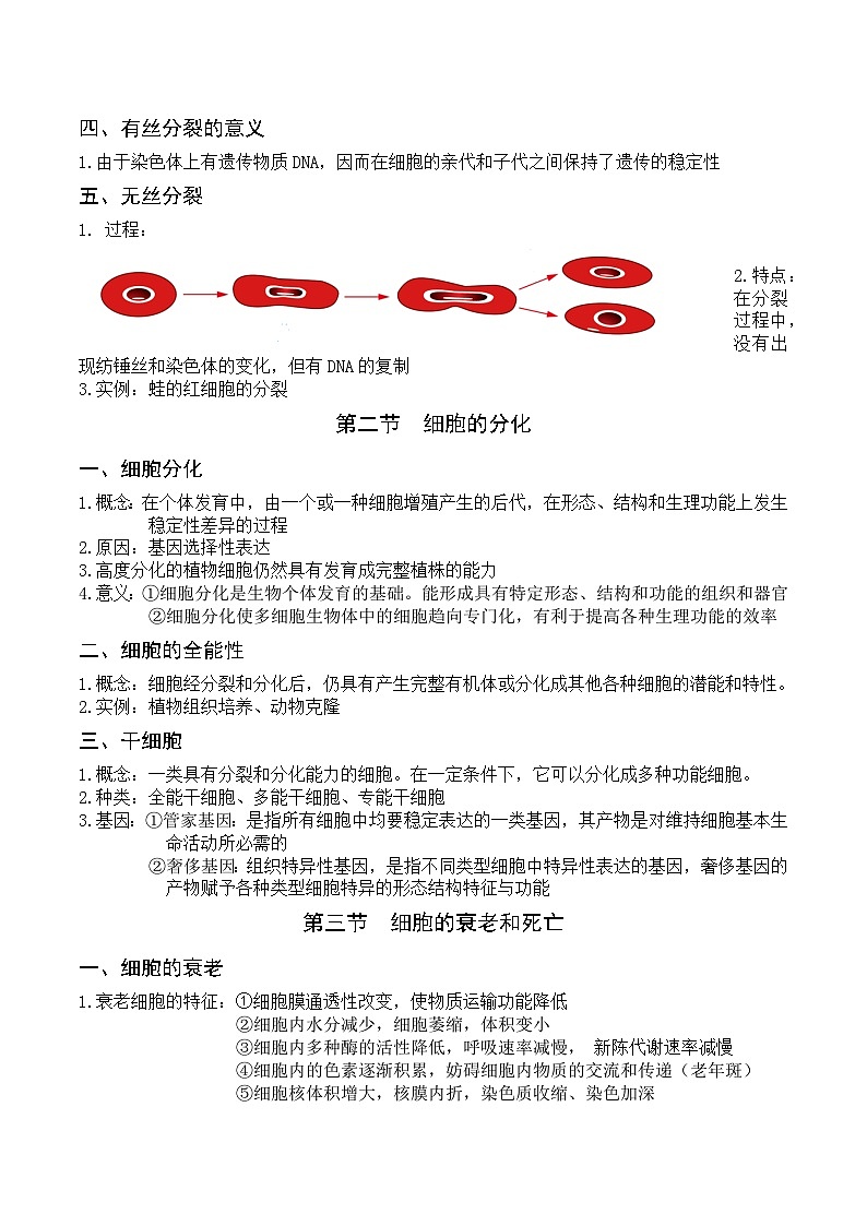 人教版高中生物必修1第6章 细胞的生命历程-章节知识和试题必记必刷培优练无答案第3页