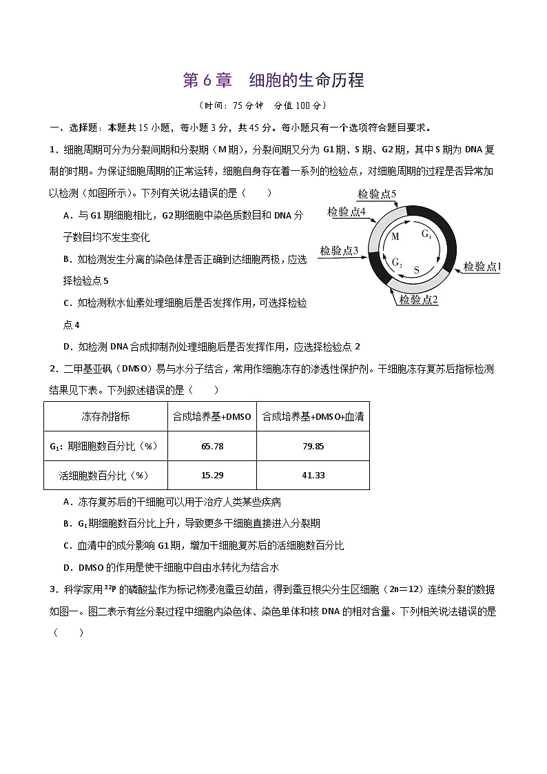 人教版高中生物必修1第6章 细胞的生命历程 达标检测卷无答案第1页