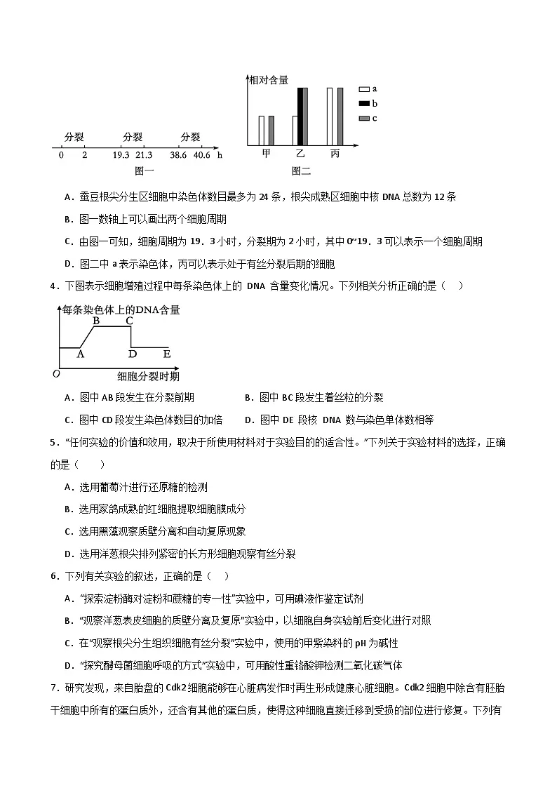 人教版高中生物必修1第6章 细胞的生命历程 达标检测卷无答案第2页