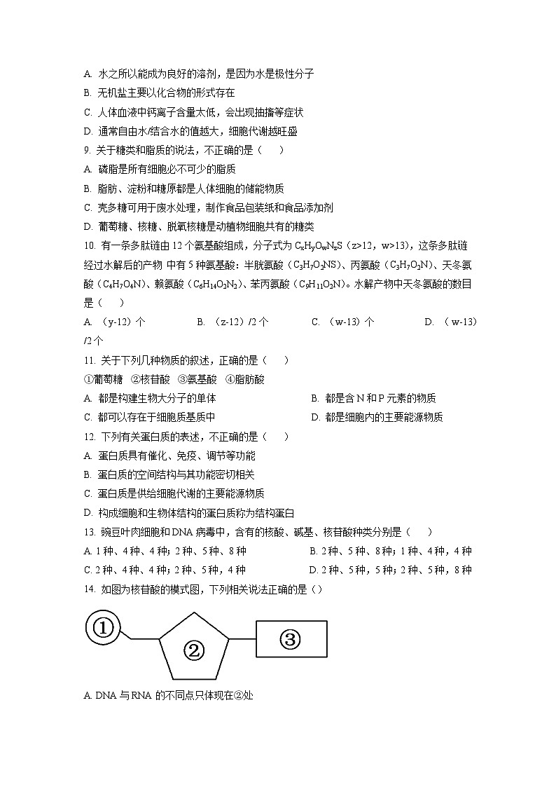 人教版高一上学期期中 生物试题 无答案第2页
