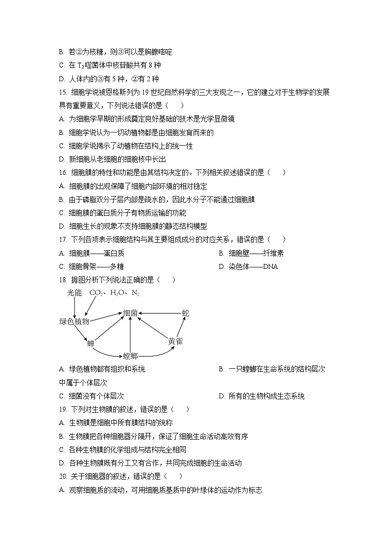 人教版高一上学期期中 生物试题 无答案第3页