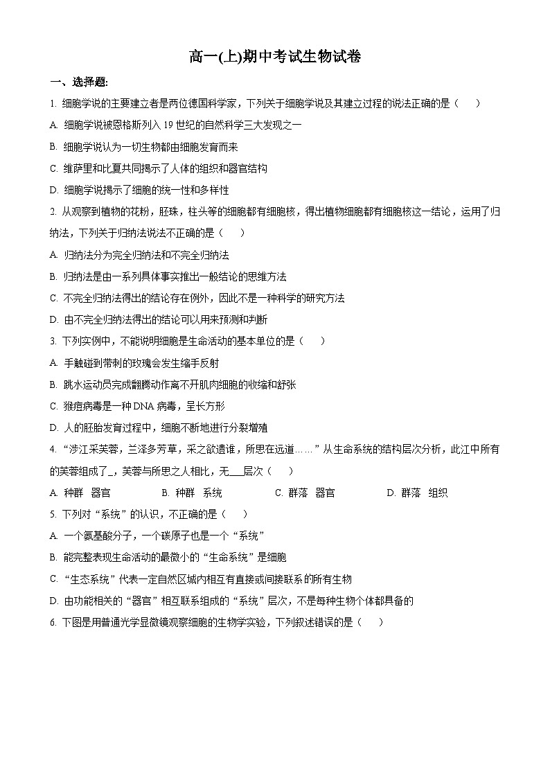 人教版高一上学期期中考试生物试题 无答案第1页
