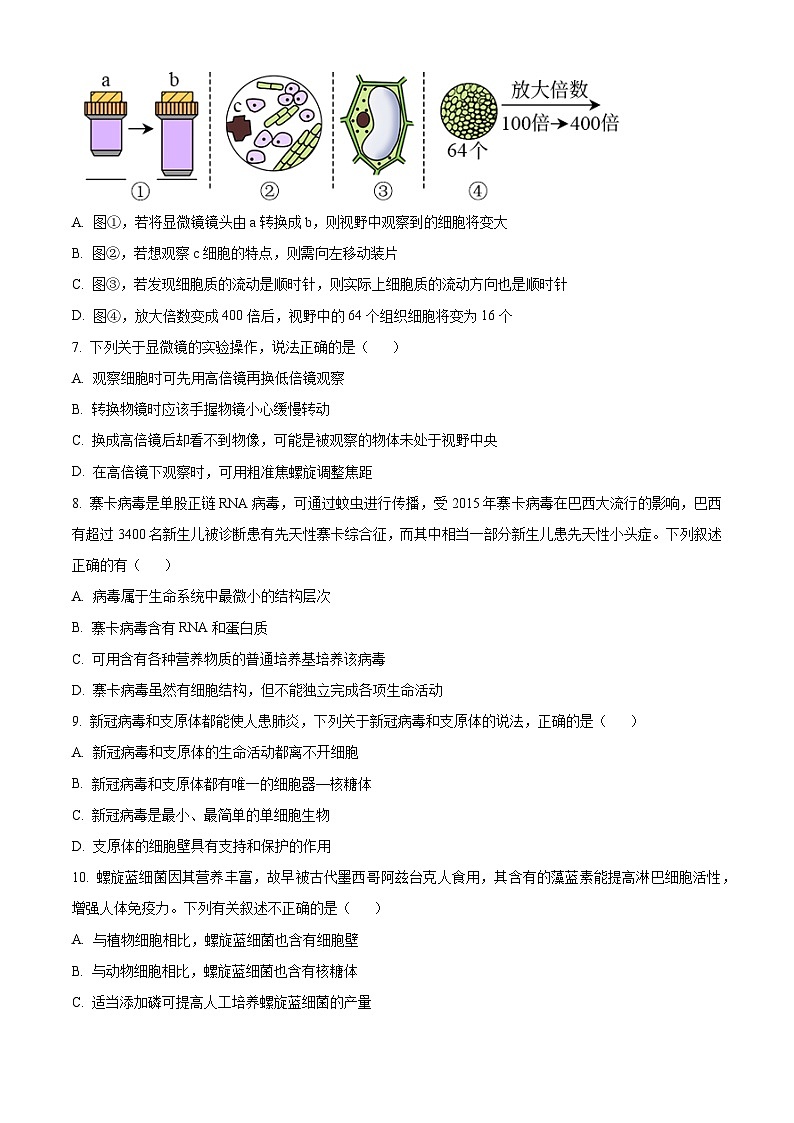 人教版高一上学期期中考试生物试题 无答案第2页