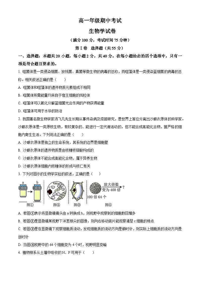 人教版高一上学期期中 生物试题 无答案第1页