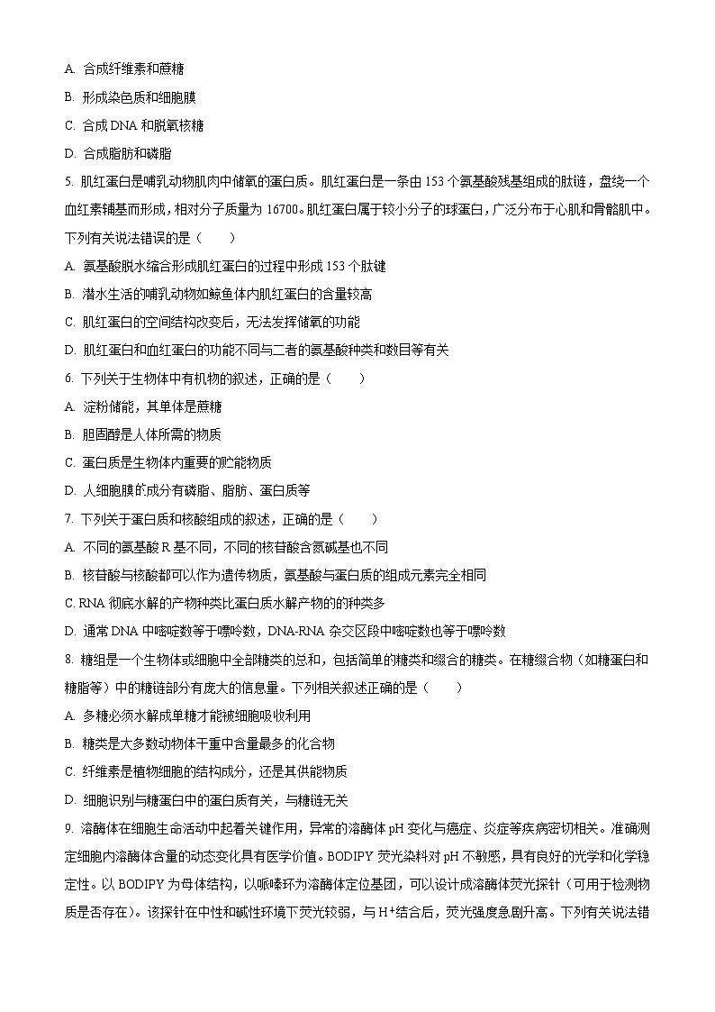 人教版高一上学期期中 生物试题 无答案第2页