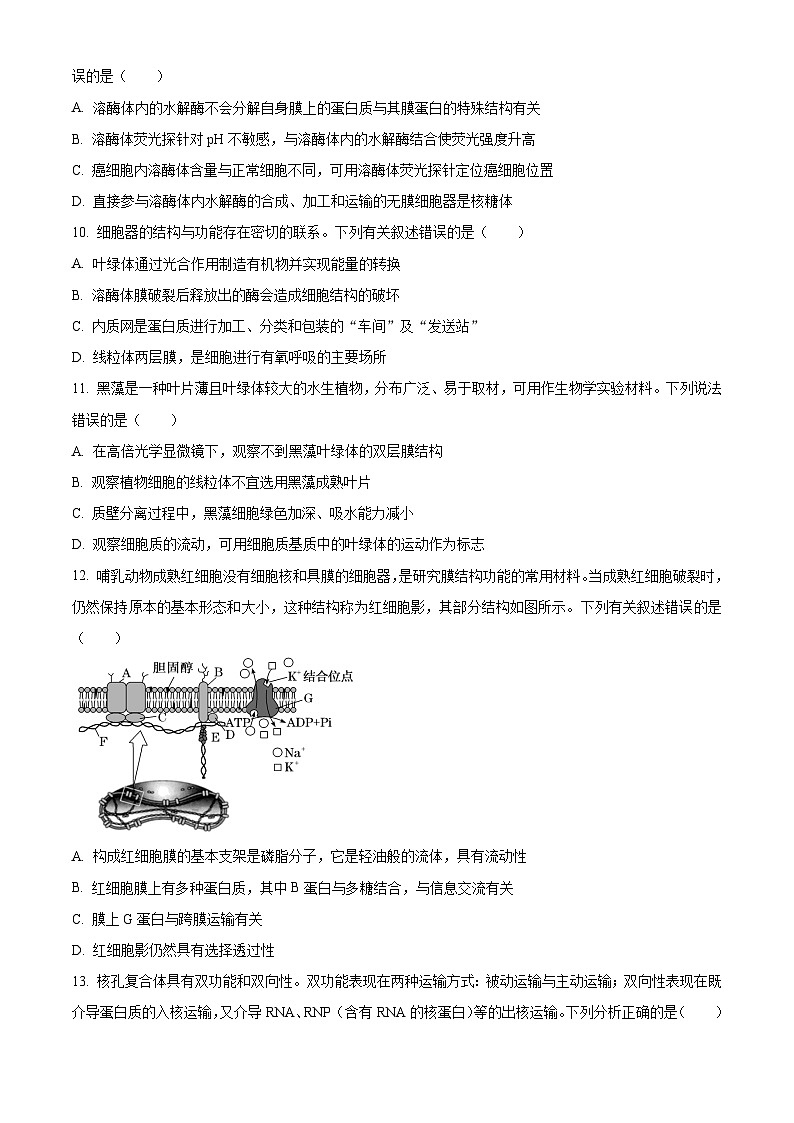 人教版高一上学期期中 生物试题 无答案第3页