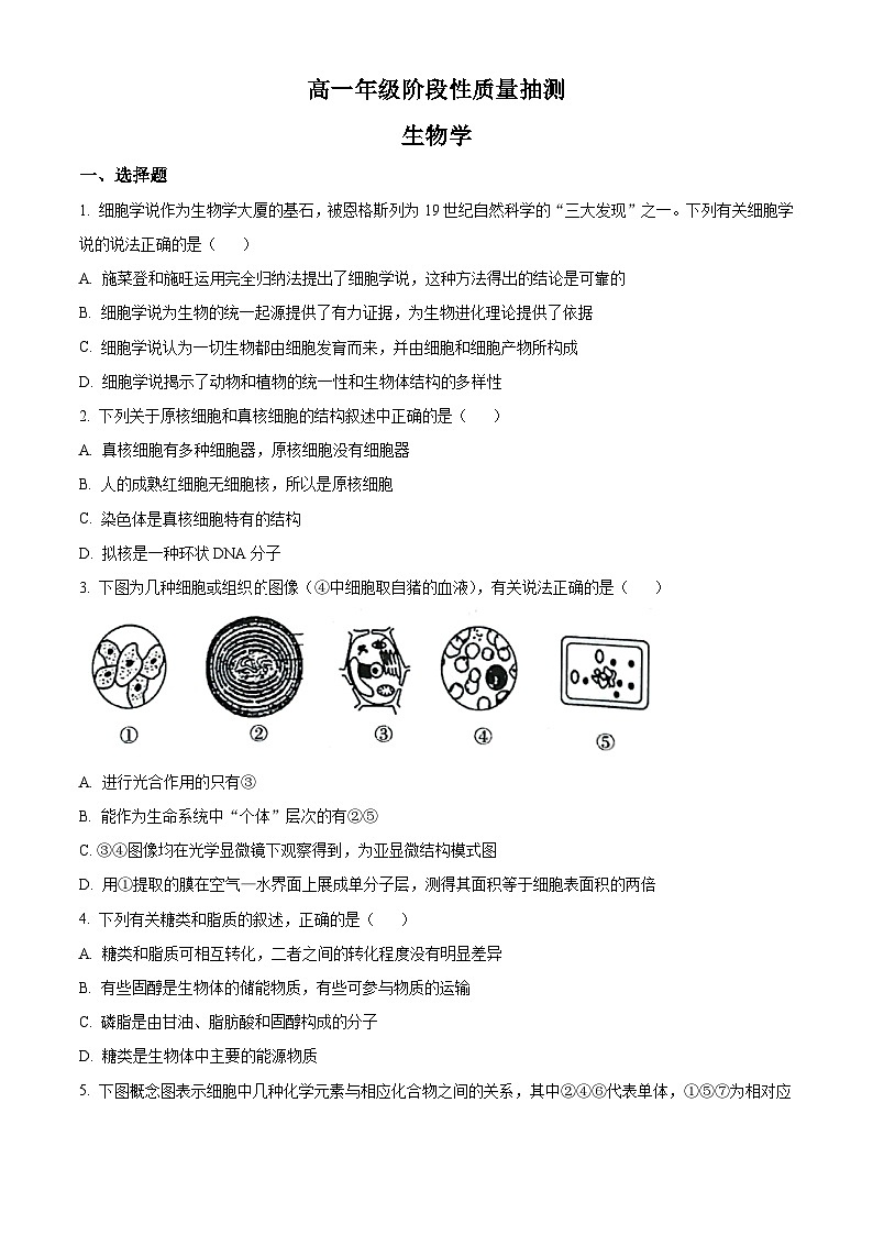 人教版高一上学期期中联考生物试题 无答案第1页