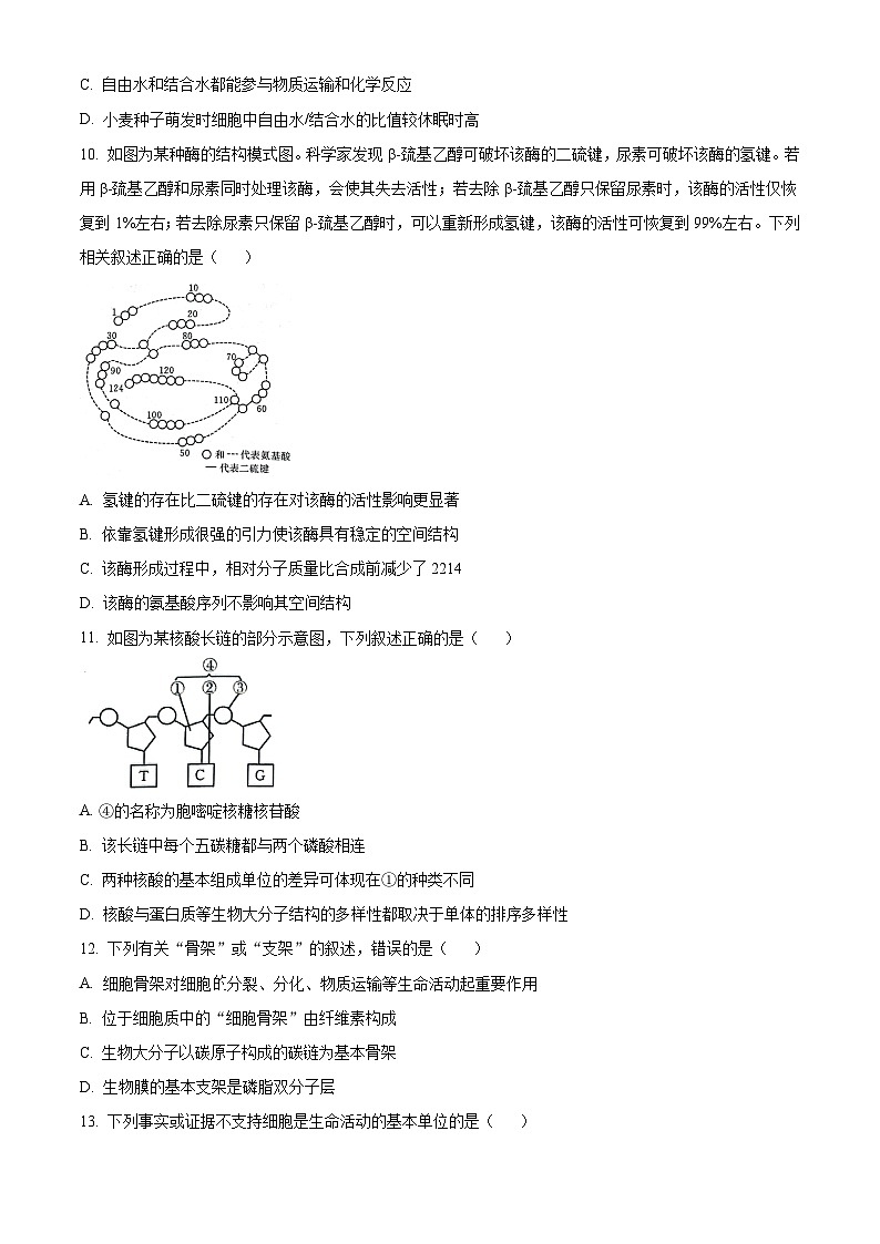 人教版高一上学期期中联考生物试题 无答案第3页
