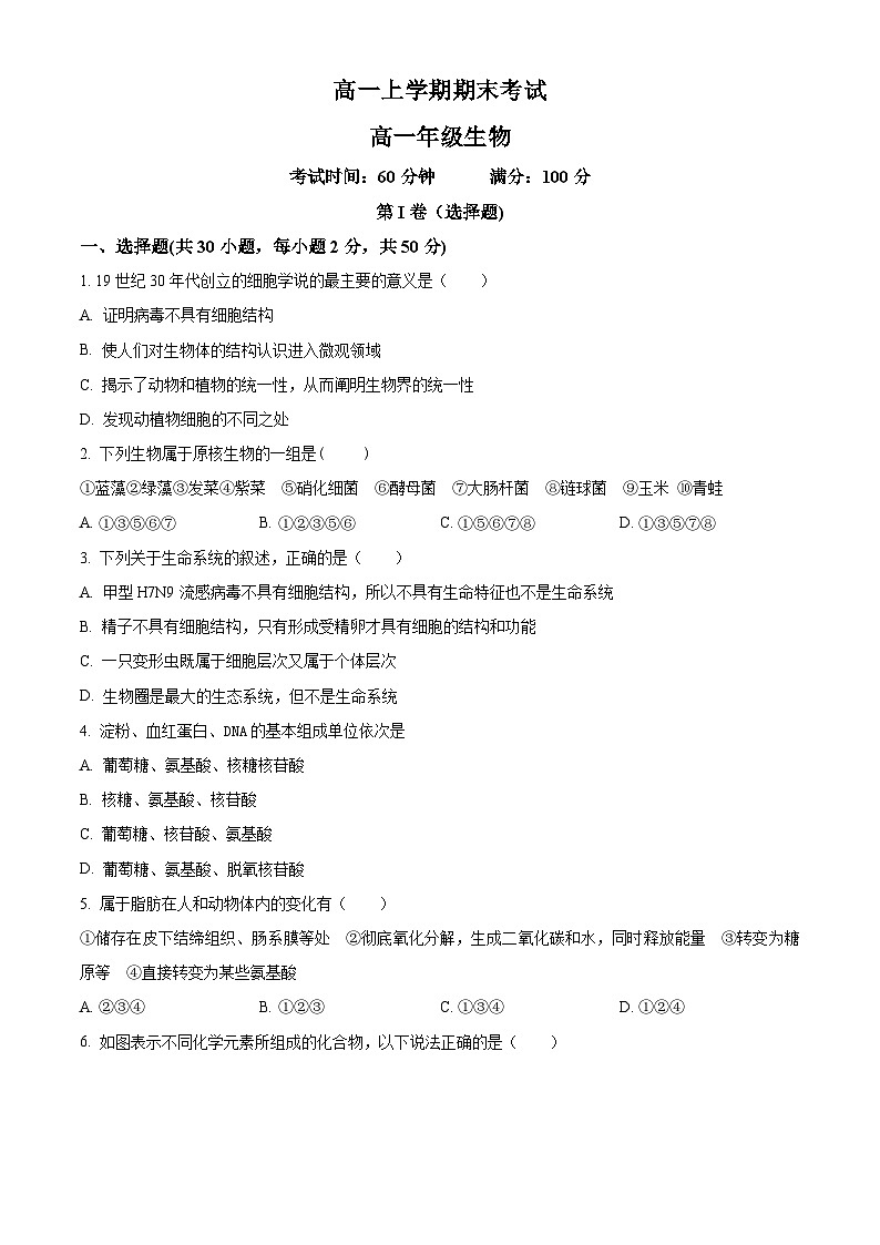 人教版高一上学期期末生物试题 无答案第1页