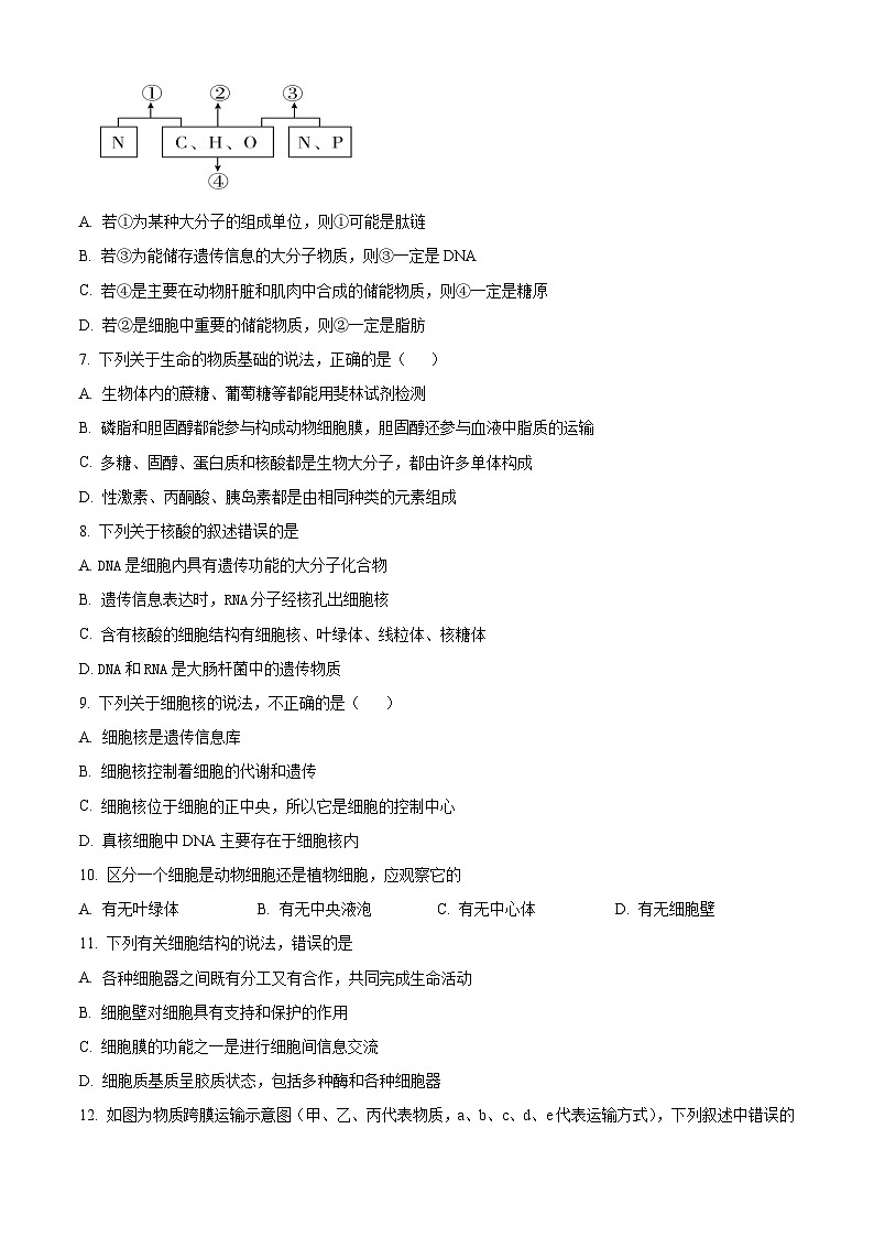 人教版高一上学期期末生物试题 无答案第2页