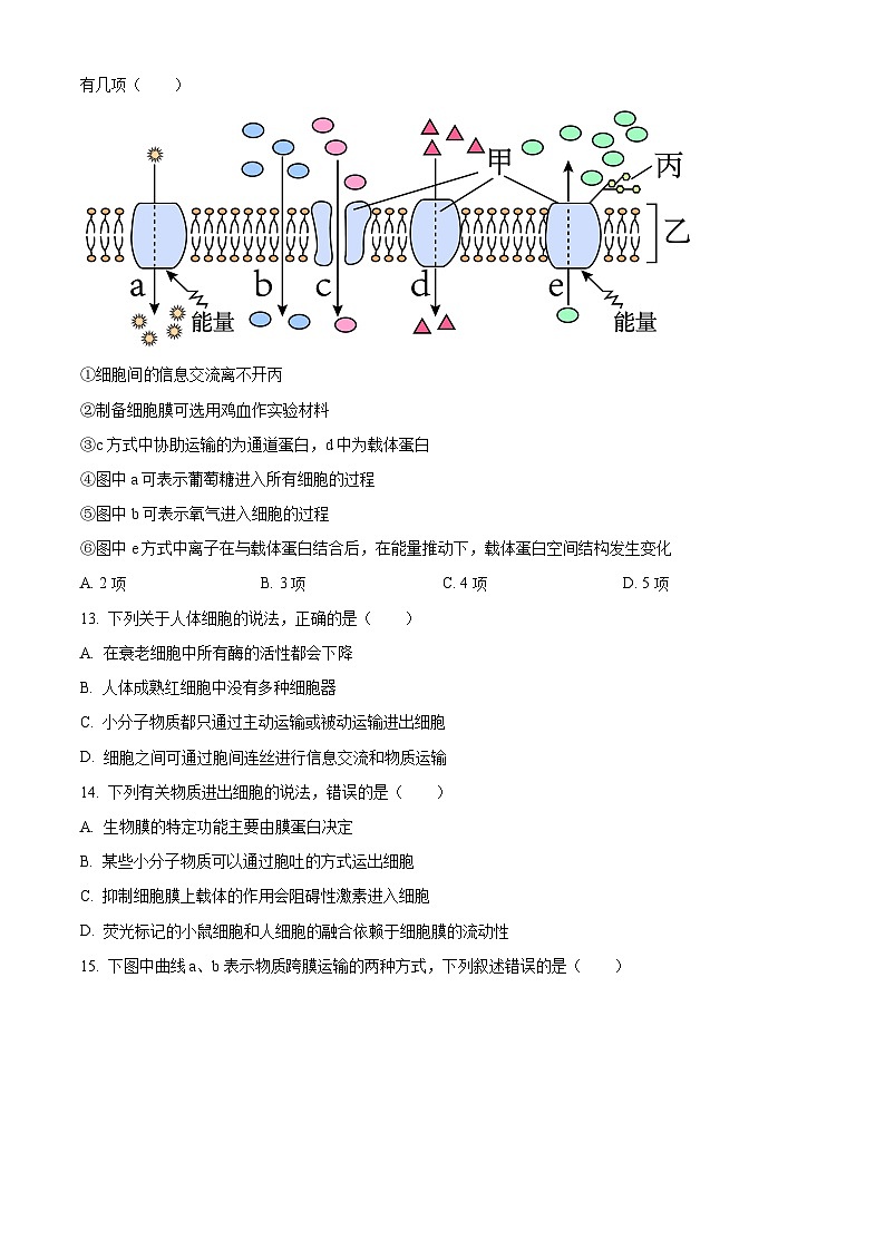 人教版高一上学期期末生物试题 无答案第3页