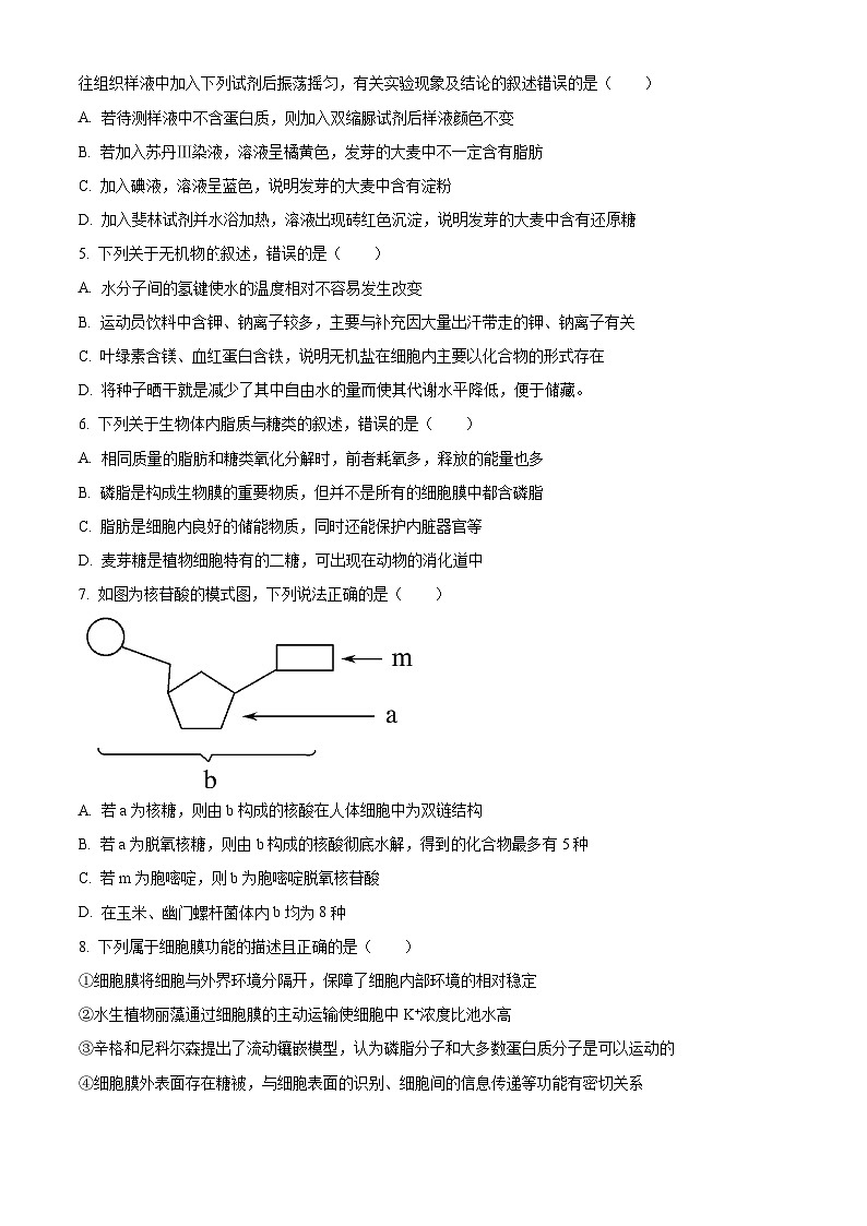 人教版高一上学期期末生物试题 无答案第2页