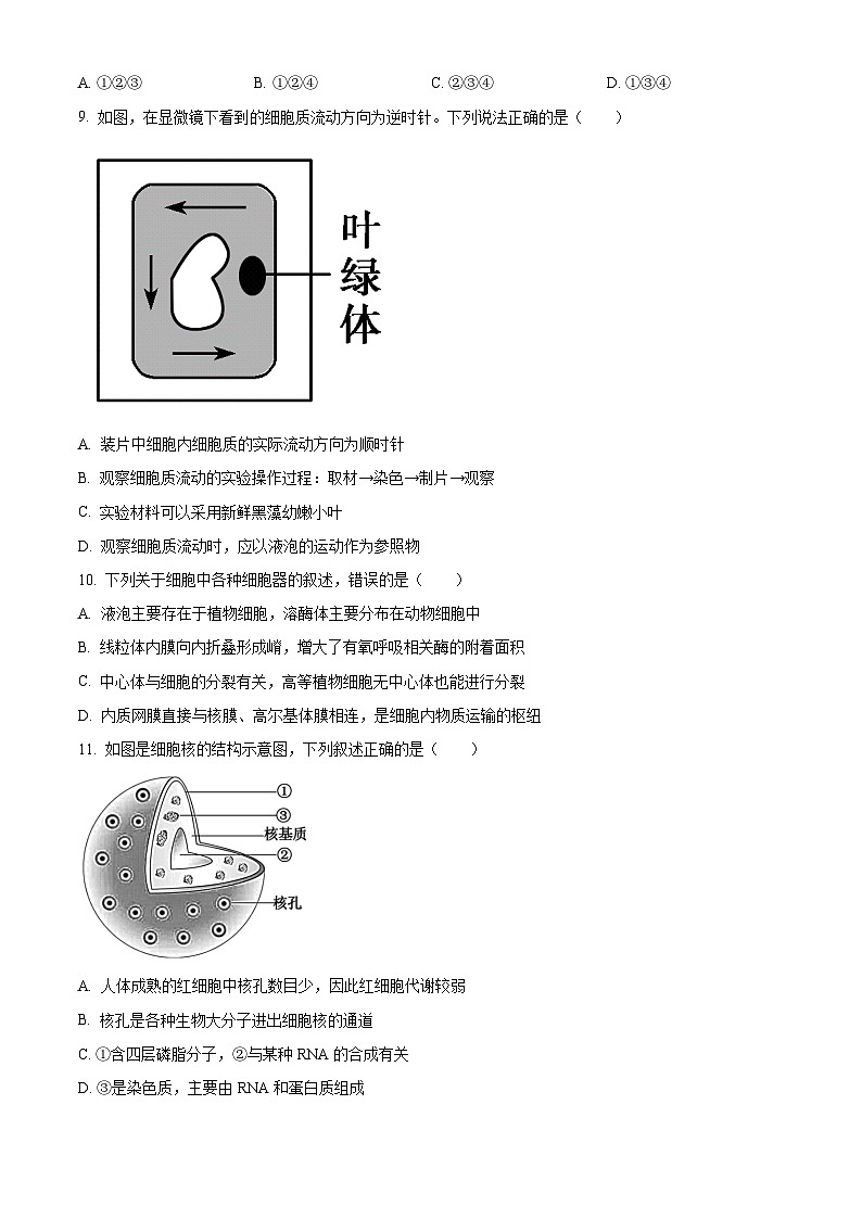 人教版高一上学期期末生物试题 无答案第3页