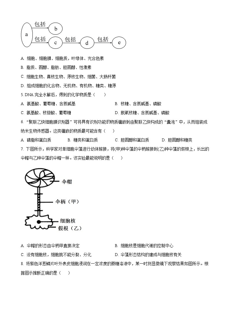 人教版高一上学期期末生物试题 无答案第2页