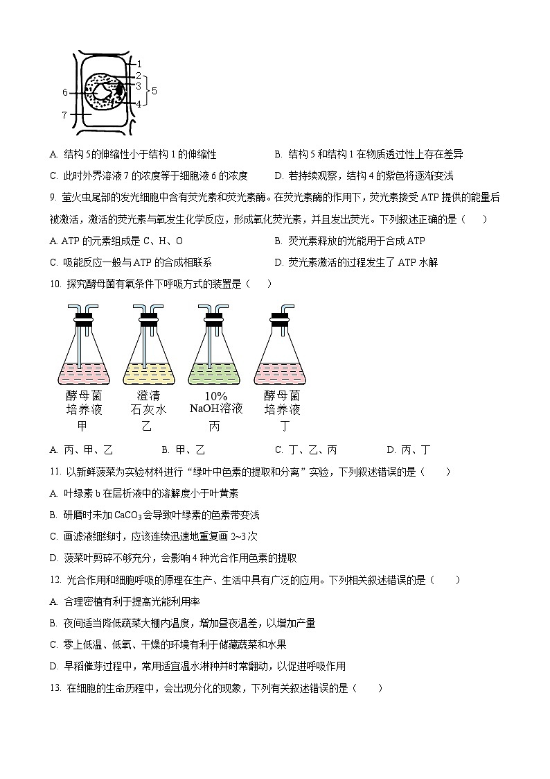 人教版高一上学期期末生物试题 无答案第3页