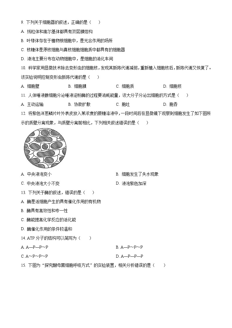 人教版高一上学期期末文化水平测试生物试题 无答案第2页