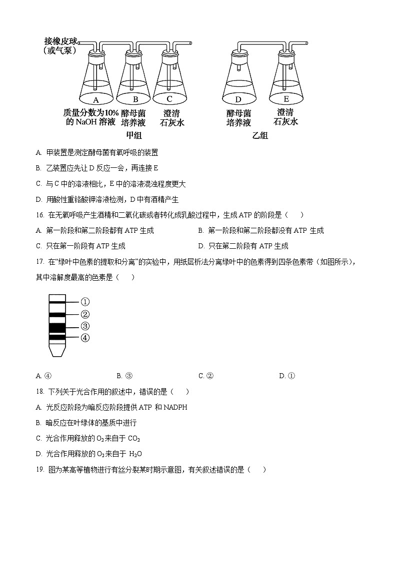 人教版高一上学期期末文化水平测试生物试题 无答案第3页