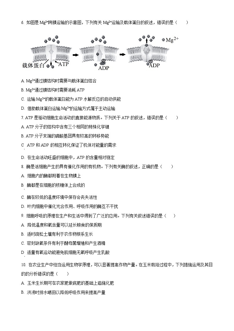 人教版高一上学期期末生物试题 无答案第2页