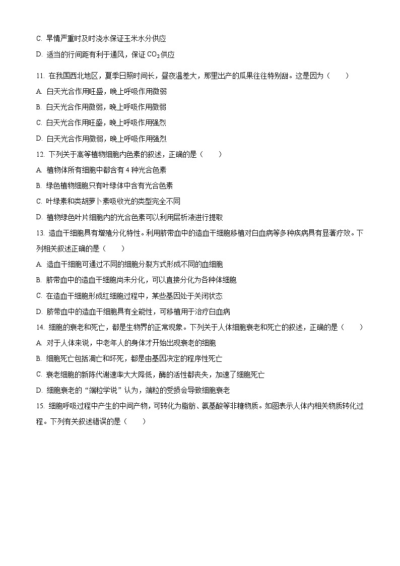 人教版高一上学期期末生物试题 无答案第3页