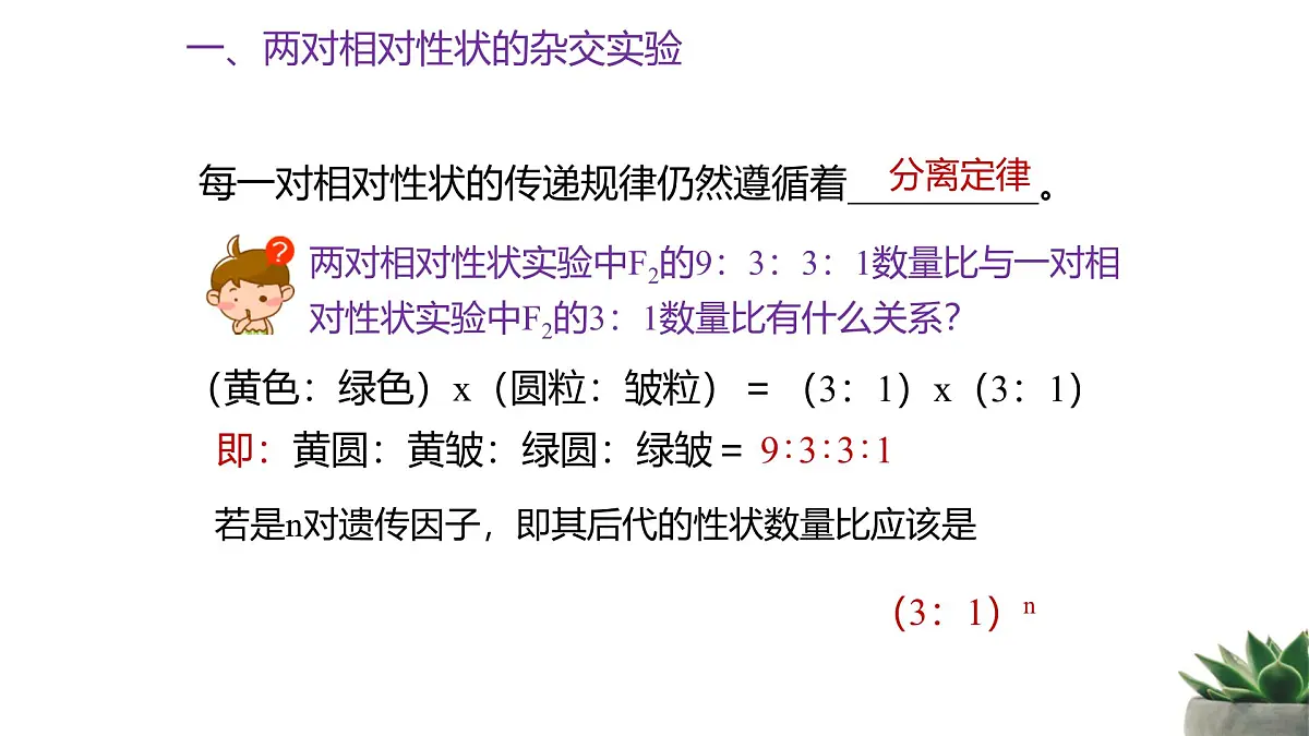 人教版高中生物必修2 1-2《孟德尔的豌豆杂交实验（二）》课时1 教学课件第7页