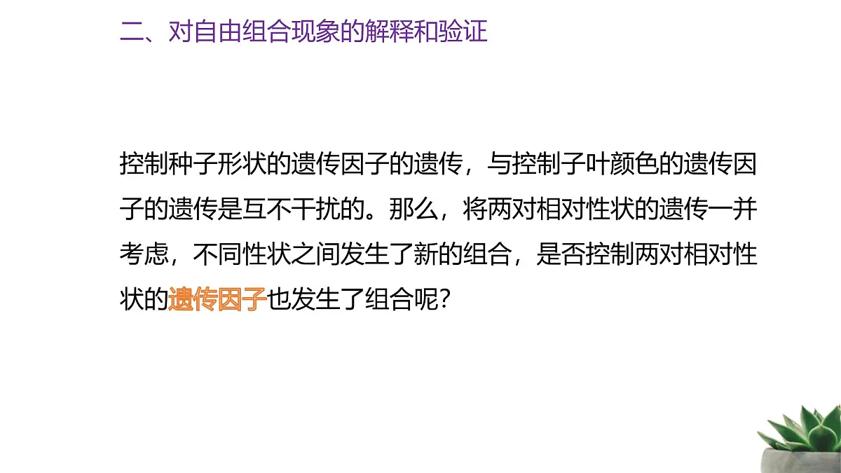 人教版高中生物必修2 1-2《孟德尔的豌豆杂交实验（二）》课时1 教学课件第8页