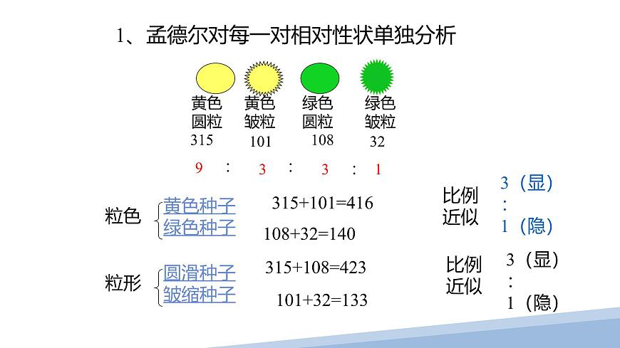 人教版高中生物必修2 1-2《孟德尔的豌豆杂交实验（二）》课时1 课件第4页