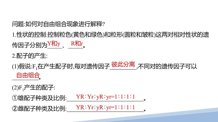 人教版高中生物必修2 1-2《孟德尔的豌豆杂交实验（二）》课时1 课件第7页