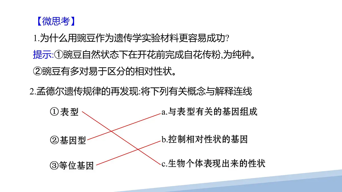 人教版高中生物必修2 1-2《孟德尔的豌豆杂交实验（二）》课时2 课件第4页