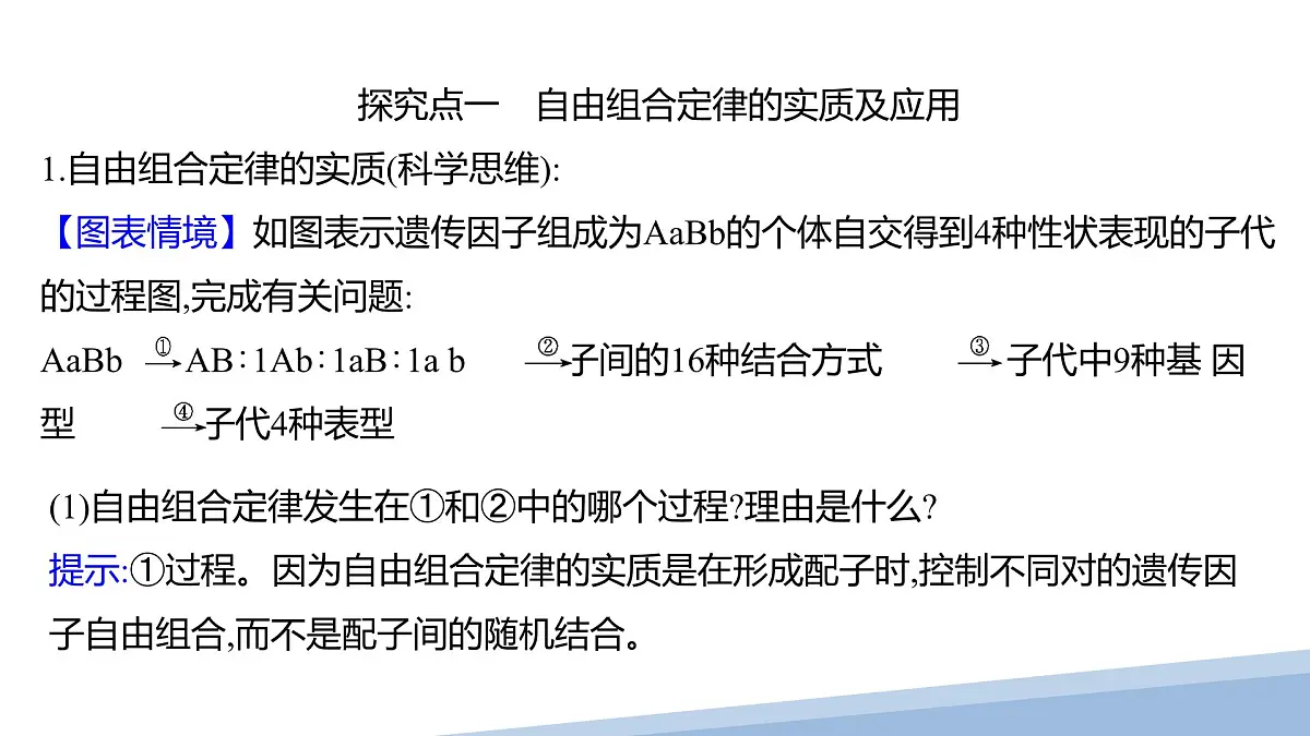 人教版高中生物必修2 1-2《孟德尔的豌豆杂交实验（二）》课时2 课件第6页