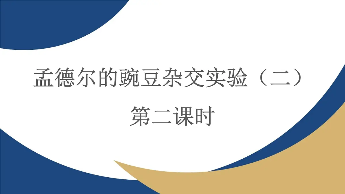 人教版高中生物必修2 1-2《孟德尔的豌豆杂交实验（二）（第二课时）》教学课件第1页