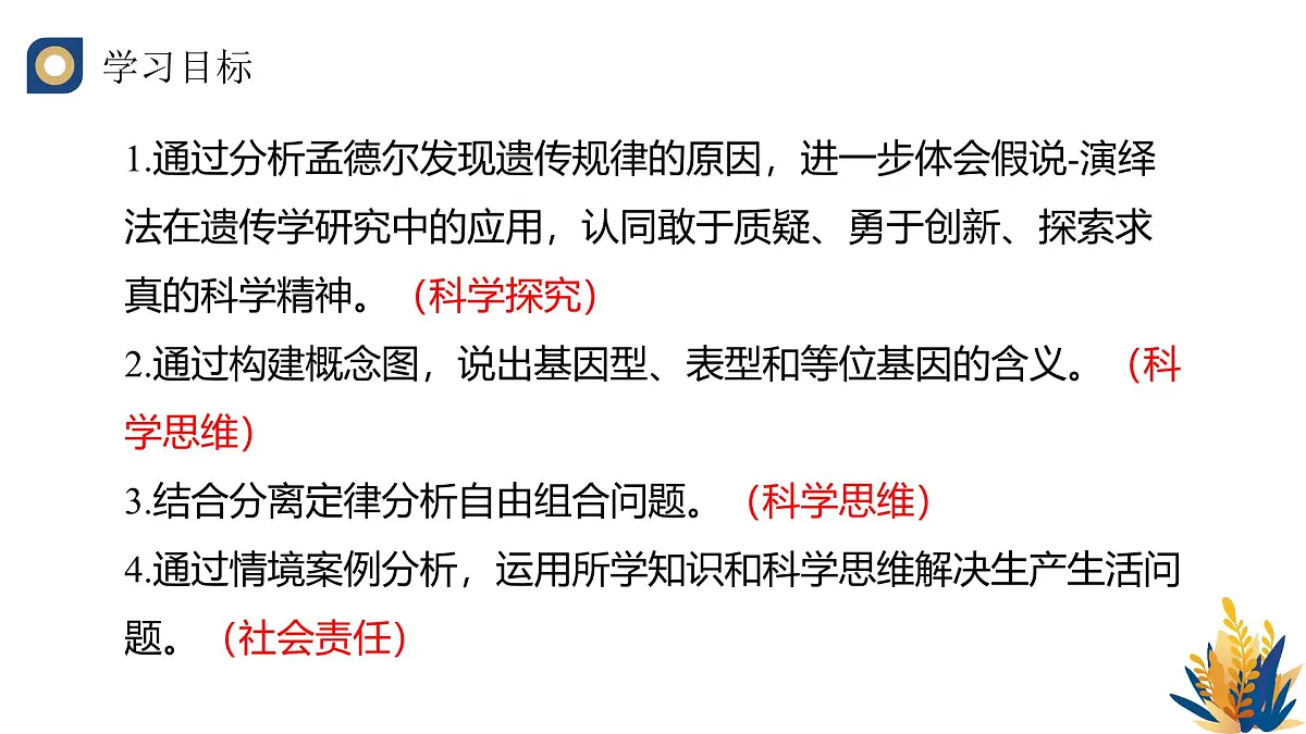人教版高中生物必修2 1-2《孟德尔的豌豆杂交实验（二）（第二课时）》教学课件第2页