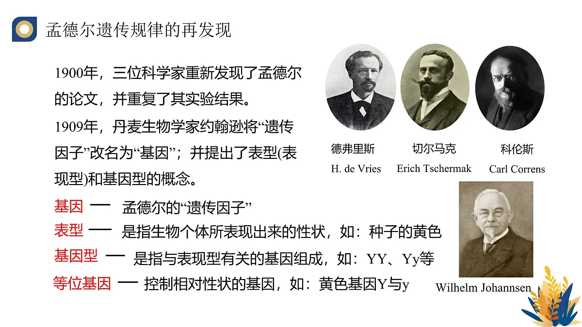 人教版高中生物必修2 1-2《孟德尔的豌豆杂交实验（二）（第二课时）》教学课件第6页