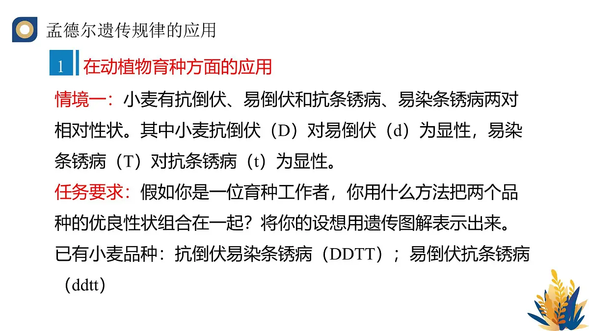 人教版高中生物必修2 1-2《孟德尔的豌豆杂交实验（二）（第二课时）》教学课件第7页