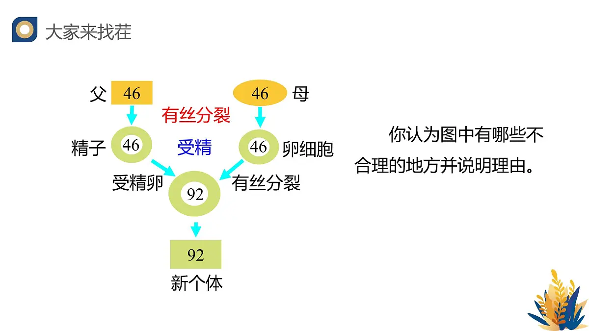 人教版高中生物必修2 2-1《减数分裂和受精作用（第一课时）》教学课件第2页
