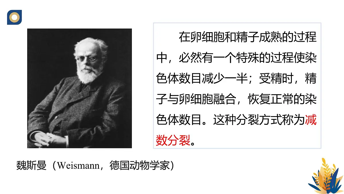 人教版高中生物必修2 2-1《减数分裂和受精作用（第一课时）》教学课件第3页