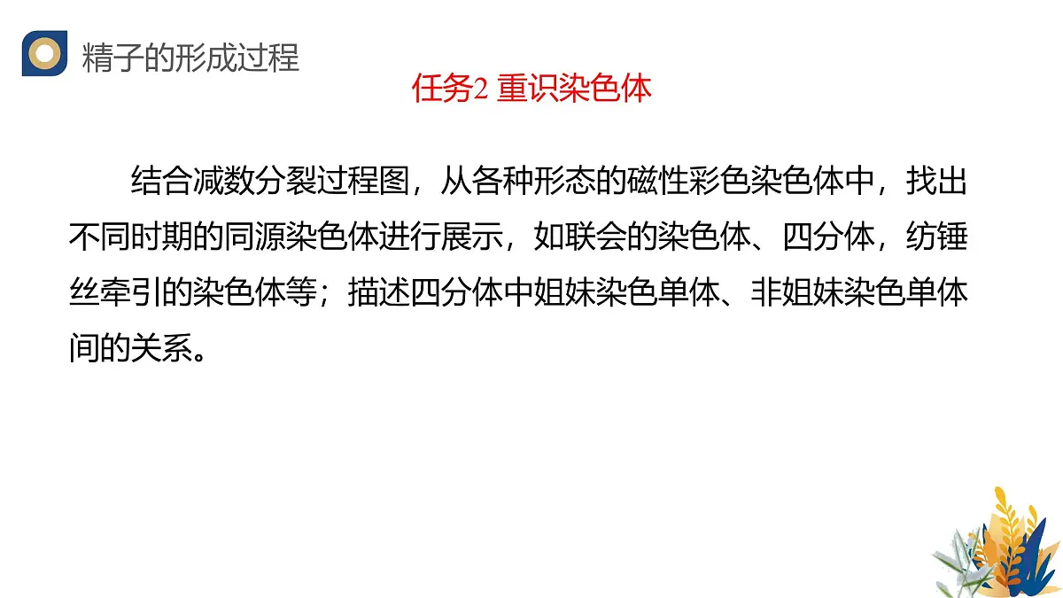 人教版高中生物必修2 2-1《减数分裂和受精作用（第一课时）》教学课件第8页