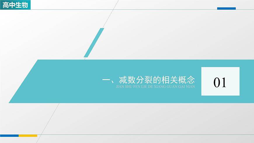 人教版高中生物必修2《2-1减数分裂和受精作用 第1课时》教学课件第4页